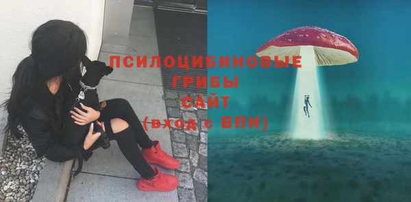 а пвп мука Алзамай