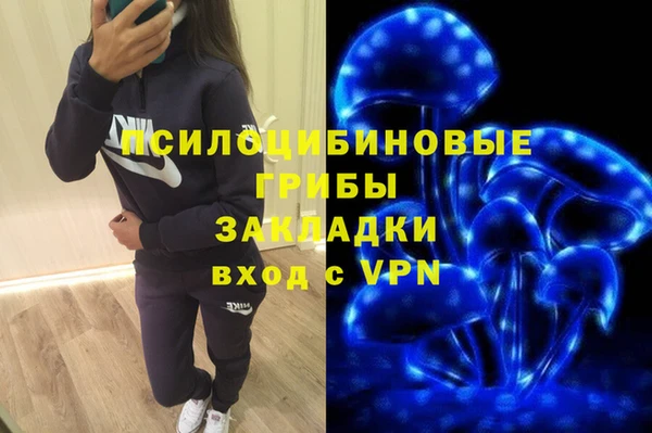 а пвп мука Алзамай