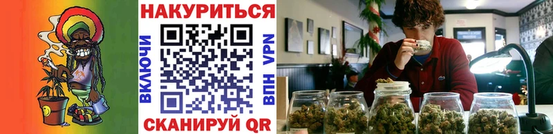 Бошки Шишки ГИДРОПОН Аркадак